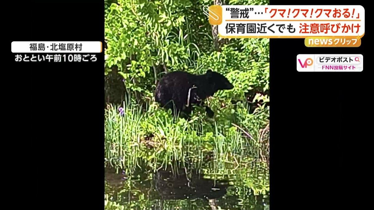 クマ！クマ！クマ！」IC付近に親子で…住宅街・保育園近くにも 相次ぐ