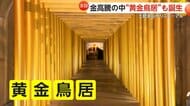 「金のパワーもらえそう」50本ズラリ「黄金鳥居」が話題…伊豆・土肥金山がリニューアル　重さ250kg巨大金塊は展示終了そのワケは“金高騰”