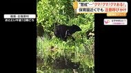 「クマ！クマ！クマ！」IC付近に親子で…住宅街・保育園近くにも　相次ぐ出没で対策に追われる各地　京都・福島・秋田・宮城・山形