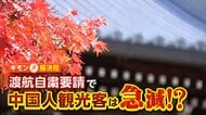 「紅葉見頃迎えた京都」渡航自粛要請で中国人観光客急減！？富裕層と中間層以下で渡航判断に違いも【ギモン解決班】