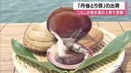 初夏の味覚・京のブランド産品「丹後とり貝」去年は貝毒で焼却処分、ことしも海水温上昇で出荷見込みは例年の１割以下　２年連続の厳しい状況に漁師「ショック」京都・舞鶴湾
