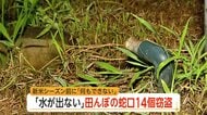 新米づくりの大事な時期に「何もできない」　水田の蛇口の盗難相次ぎ、水を入れられない事態　茨城県は樹脂製への交換呼びかけ