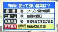 【天気／山形】梅雨に使えるのは「五月晴れ」＆30日の詳しい天気　中村友祐気象予報士の天気予報(2)