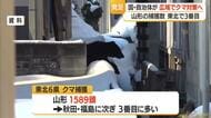 「人とクマ住み分け」「捕獲含めた個体管理」など国・県またぎ広域でクマ対策目指す　山形