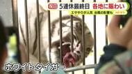 シルバーウィークの5連休は雨ばかり　最終日に観光する家族も「駿府城へ」「ちびまる子ちゃんに会いに」ホワイトタイガーのエサやりも人気　