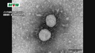 【速報】 新型コロナ 長崎県内で新たに16人の感染確認