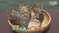 勝負は1分…“危険でキツい”素潜りの「岩ガキ漁」　50年ぶりに地元漁師が“復活”【石川発】