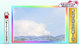 みつけタグラム “青い空を歩くブタ”【愛媛・香川】