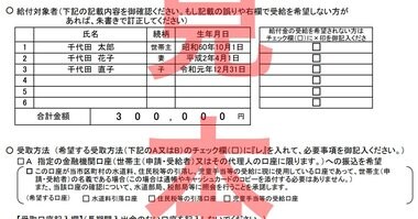 10万円給付金の申請で「希望しない」に勘違いでチェック注意…あとで修正は可能? 総務省に聞いた
