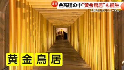 「金のパワーもらえそう」50本ズラリ「黄金鳥居」が話題…伊豆・土肥金山がリニューアル　重さ250kg巨大金塊は展示終了そのワケは“金高騰”