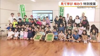 5月8日はゴーヤーの日　糸満市立米須小学校で見て学び味わう特別授業