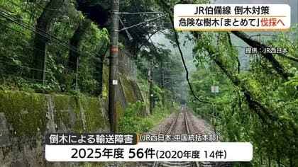 「倒木」による遅れ・運休相次ぐJR伯備線で新たな対策「集中伐採」山陰エリアでも2026年度から実施へ