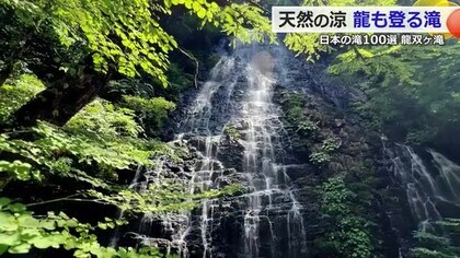 汗とは無縁の“ひんやり絶景スポット”　天然ミストが「気持ちいい！」　日本の滝100選「龍双ケ滝」【福井】