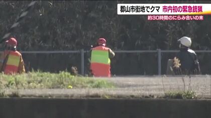 郡山市街地に出没した熊　磐越道の土手まで北上　にらみ合いの末…付近を交通規制し緊急銃猟　福島