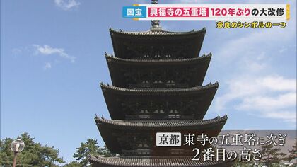 ☘️【送料無料・匿名配送】 大工寺ひな形 : 本堂・門から五重塔まで 宮大工 2025年最新】大工寺ひな形 本堂・門から五重塔まで [ 富樫新三