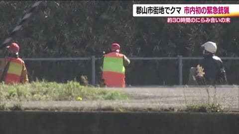 郡山市街地に出没した熊　磐越道の土手まで北上　にらみ合いの末…付近を交通規制し緊急銃猟　福島
