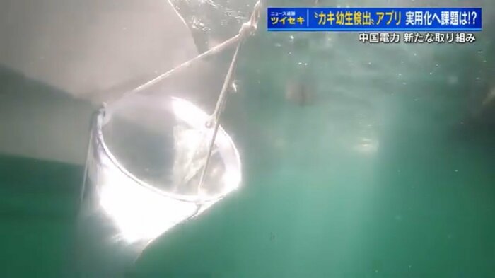 ネットで海水を採取