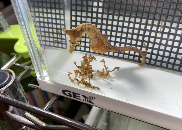 提供:アルト自然派さん