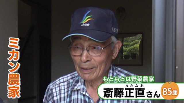 宮城県山元町のミカン農家・斎藤正直さん（85）