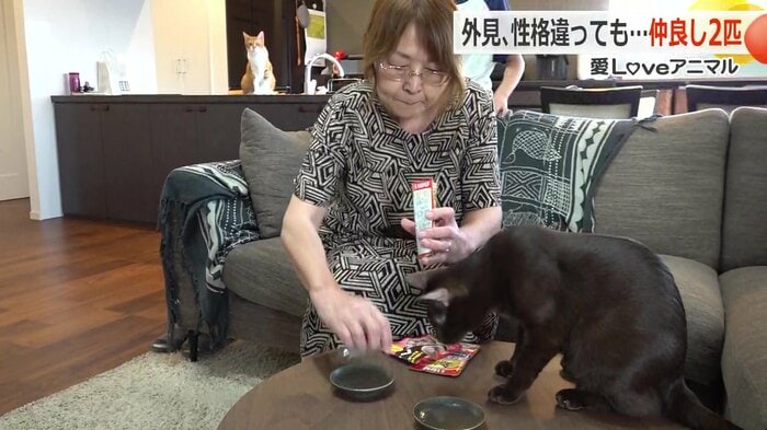 「おやつだよ!」にすぐ反応したこてつくん