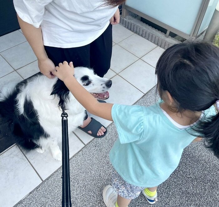 チヤホヤされるマロくん
