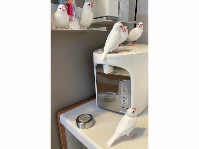 ぽいんぽいん撮影時の様子