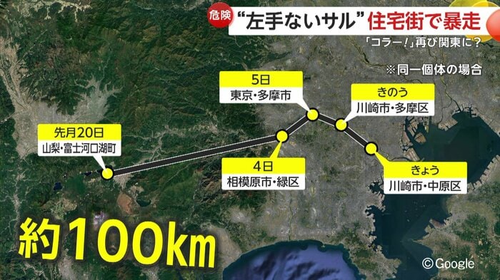 同一個体なら、約100kmも移動していることになる