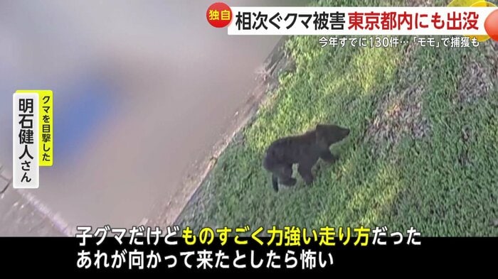 クマを目撃した明石健人さんは恐怖を感じたという