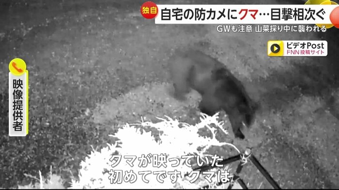映像提供者は防犯カメラに熊が映っていたことに驚きを隠せない