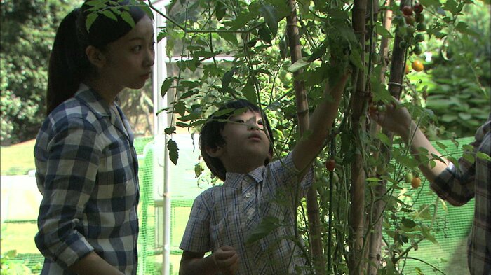 赤坂御用地内の畑を手入れされる佳子さまと悠仁さま