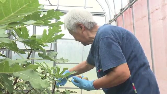 これからも故郷・楢葉町で