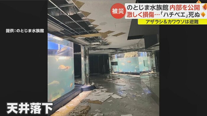 魚が泳ぐ水槽の水は濁っている