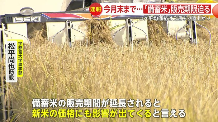 宇都宮大学農学部・松平尚也助教は備蓄米の販売期間延長が新米価格にも影響すると話す