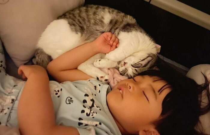 一緒に寝るときもある