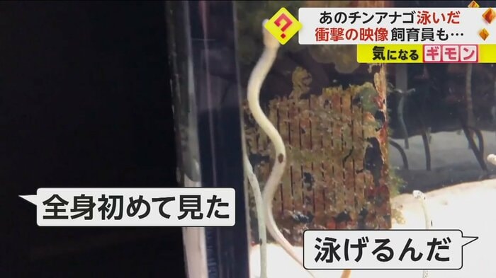 (京都水族館)