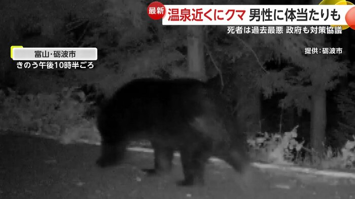 提供：富山・砺波市