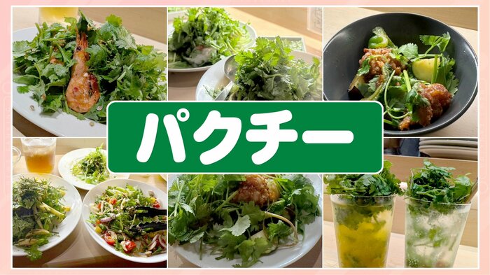 カムゥン東桜 theパクチ+飯店