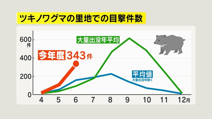 ツキノワグマの里地での目撃件数
