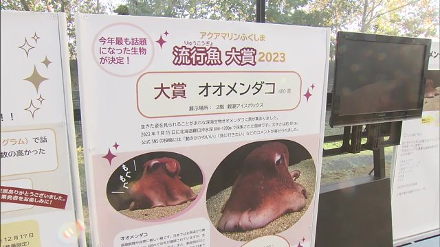 480票を獲得 2位のユーラシアカワウソに大差をつけ大賞に