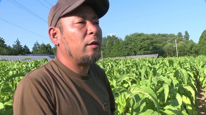杉本健さん