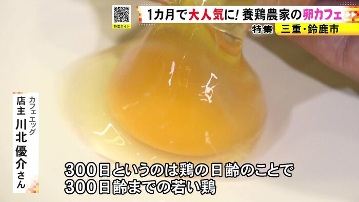 ニュースONE