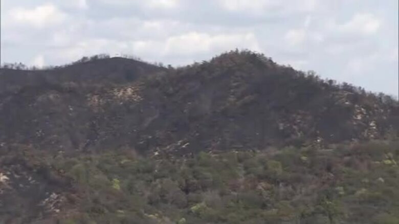 【速報】岡山市南区の大規模山林火災「鎮火」　岡山市が発表【岡山】｜FNNプライムオンライン