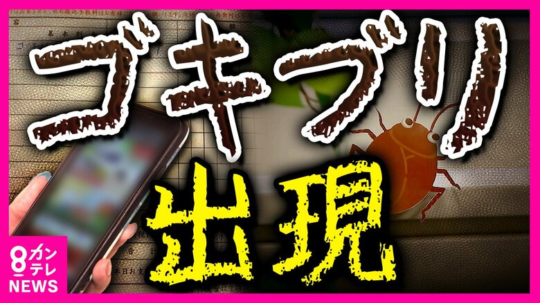 500円のはずが10万円に…『ゴキブリ駆除』高額請求トラブル　駆除の経験ない20～30代が急増中｜FNNプライムオンライン