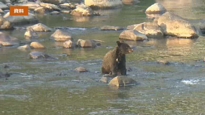 只見町でクマが飛び出し車に衝突　常磐線は相次いでイノシシ衝突で遅れ＜福島県＞｜FNNプライムオンライン