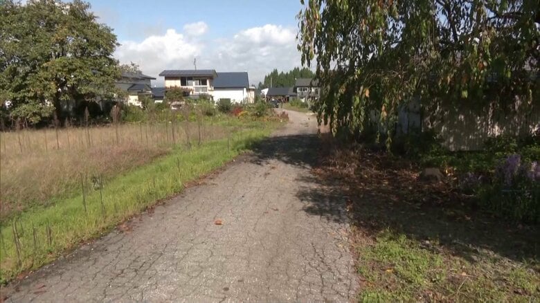 60代男性がクマに襲われ重傷　犬の散歩中に顔や頭を引っかかれ　秋田・仙北市…新潟・妙高市では90代男性が襲われる｜FNNプライムオンライン