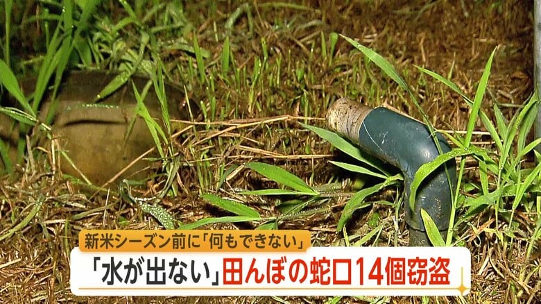 新米づくりの大事な時期に「何もできない」　水田の蛇口の盗難相次ぎ、水を入れられない事態　茨城県は樹脂製への交換呼びかけ｜FNNプライムオンライン