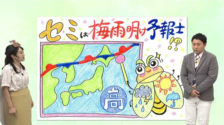 梅雨明けが早まるかも？「セミの初鳴き」から梅雨明けが予報できる…？「生物季節観測」について気象予報士が解説｜FNNプライムオンライン