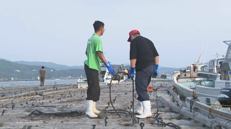被害総額1000万円超の見通し…先週の津波でカキの養殖イカダが破損等 県などに組合が復旧費用の負担を要望｜FNNプライムオンライン