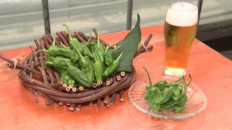 日本のおつまみ文化を作る！いま人気の野菜「パドロン」を味わう｜FNNプライムオンライン