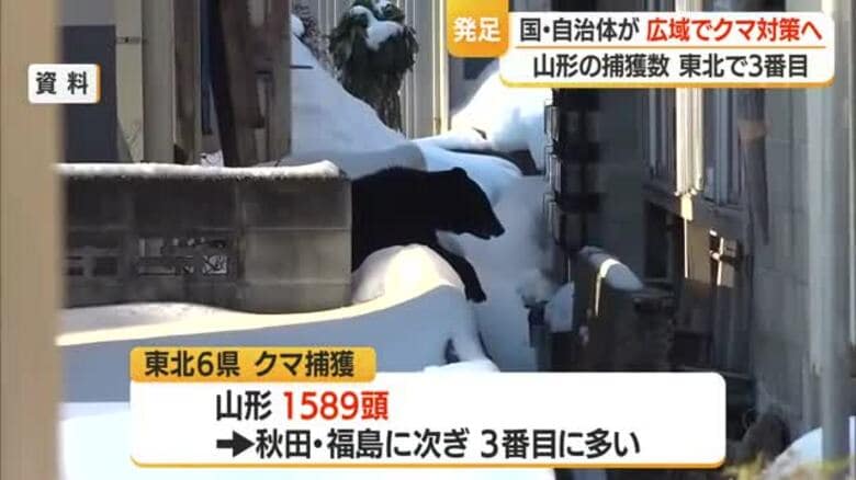「人とクマ住み分け」「捕獲含めた個体管理」など国・県またぎ広域でクマ対策目指す　山形｜FNNプライムオンライン